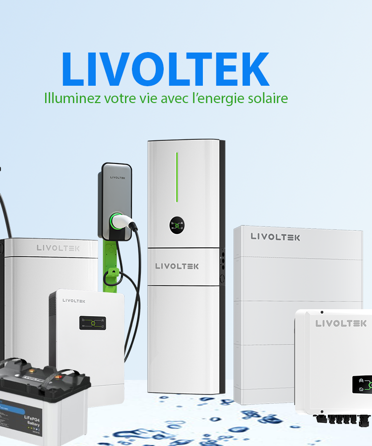 LIVOLTEK PRODUIT.png